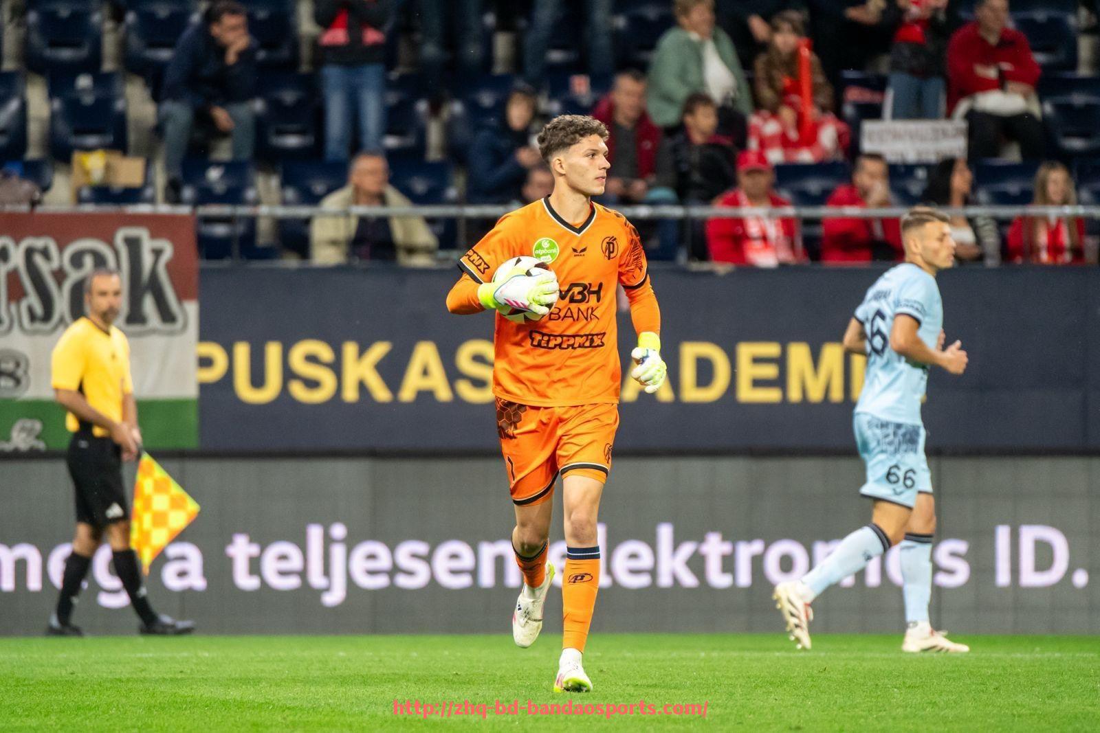 半岛体育-英超富二代球员的背景与职业表现分析