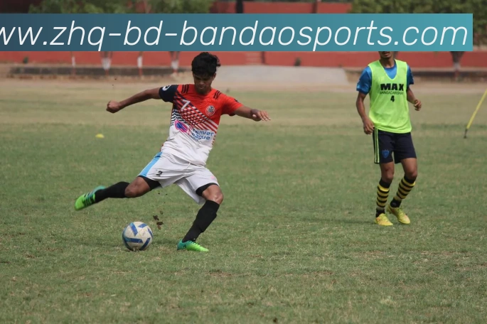 App Interface Preview