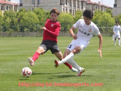 半岛体育-历年来成功进入德甲联赛的球队完整列表