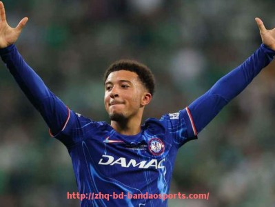 半岛体育-英超富二代球员的背景与职业表现分析